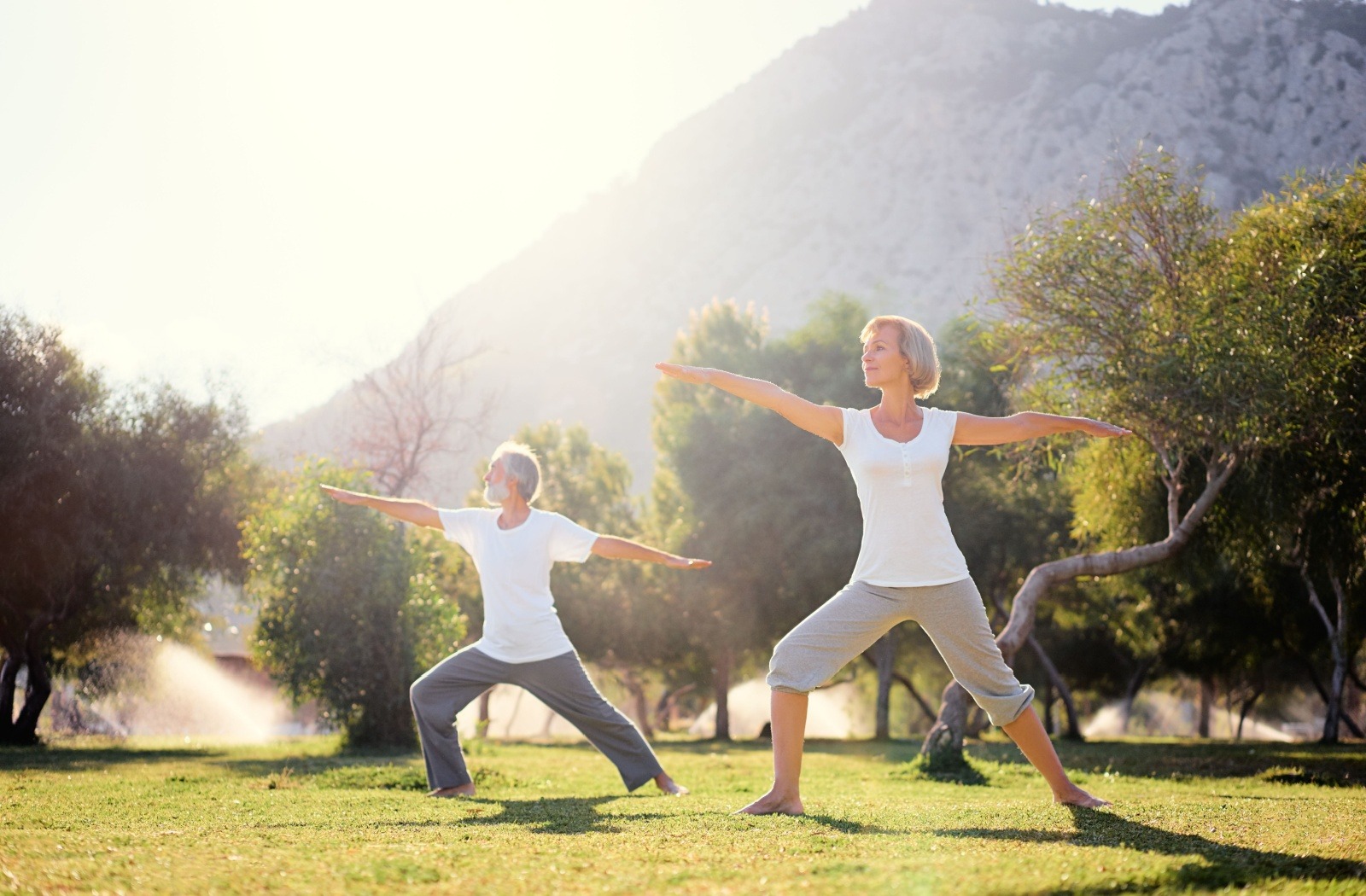 Two adults practice outdoor yoga in a sunlit park with trees and hills in the background, arms extended.